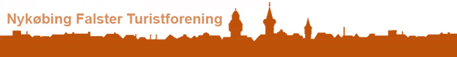 Orange Logo